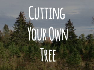Cutting Your Own Tree